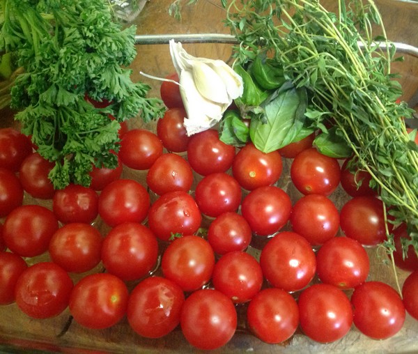 Ingrédients de la recette des tomates à l'Omnicuiseur
